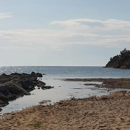 Calma Luxury #1 In Halkidiki 아파트 소조폴리