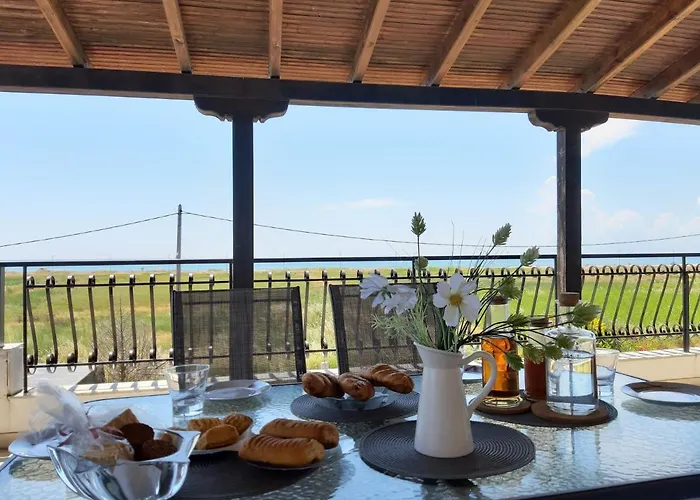 Calma Luxury #1 In Halkidiki *